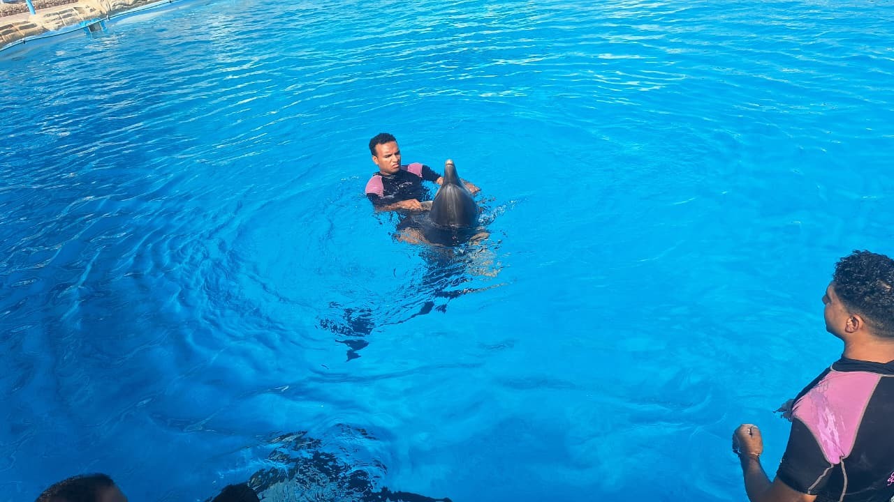 صورة المعرض